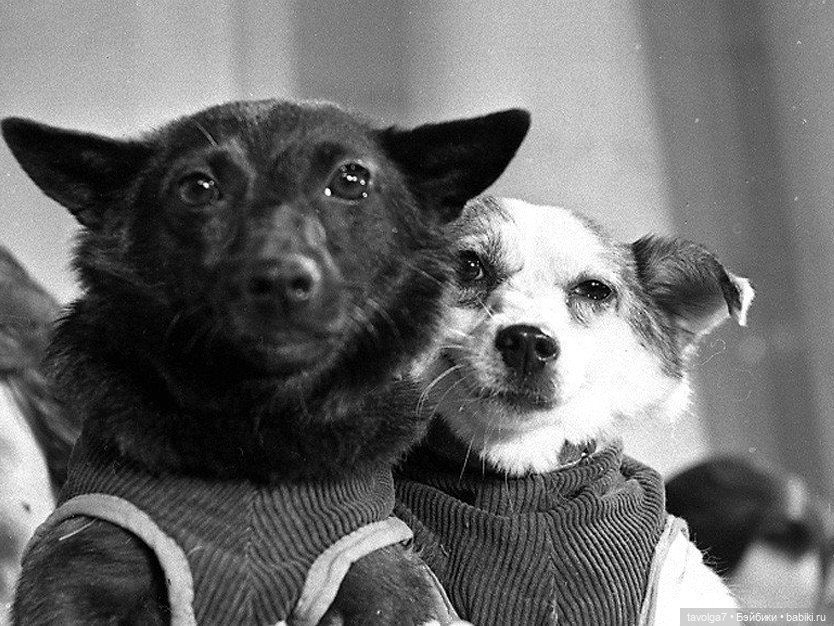 С Днём Космонавтики 2026 — Культура (фото 5)