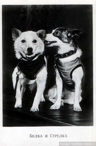 С Днём Космонавтики 2026 — Культура (фото 4)