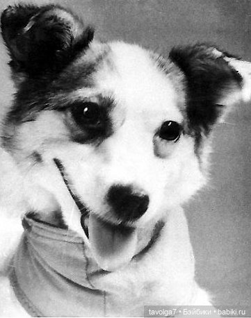 С Днём Космонавтики 2026 — Культура (фото 6)