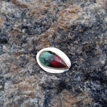 Серебряные рыбы у воды