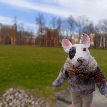 Дворцовые конюшни в Петергофе