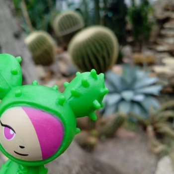 TokiDoki в Ботсаду Петра Великого