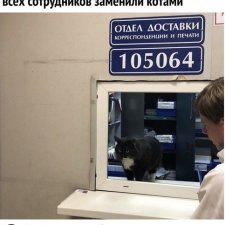 Немного юмора