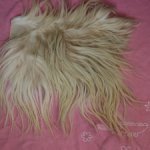 Часть шкурки для кукольных волос