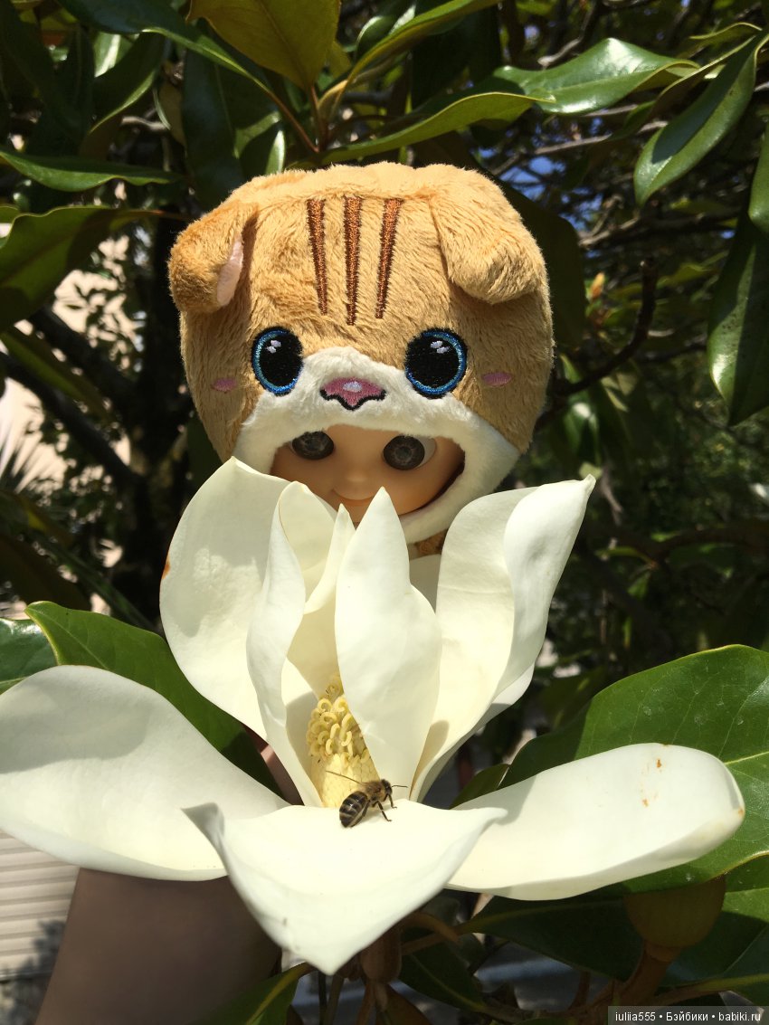 "Куклят по осени считают" или Мечты должны сбываться