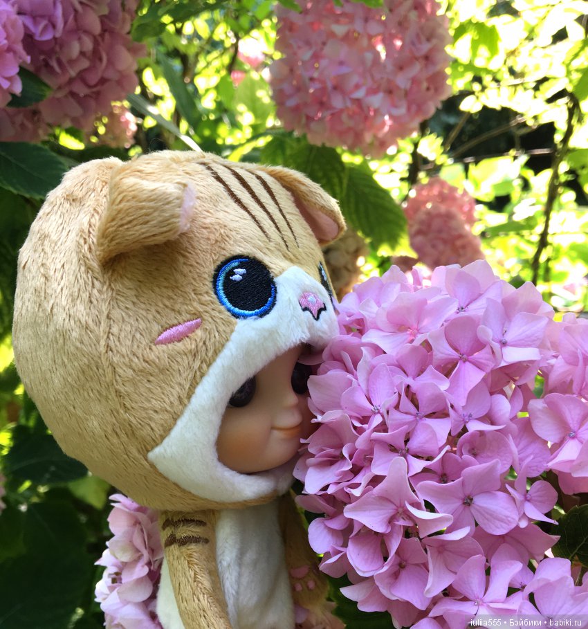 "Куклят по осени считают" или Мечты должны сбываться