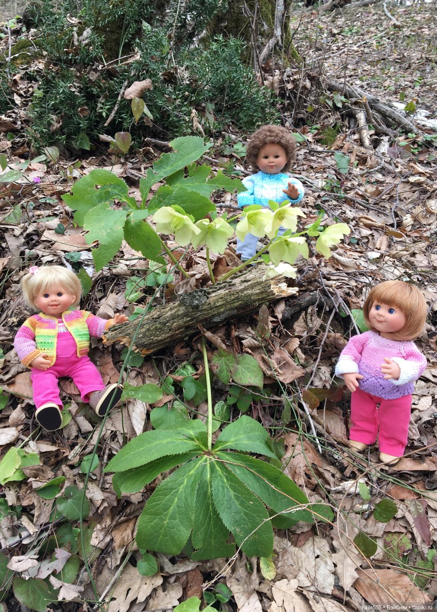 Прогулки с Вихтелями - это весело и интересно:)