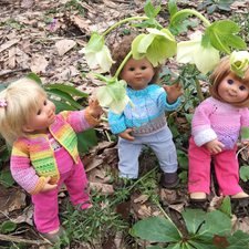 Прогулки с Вихтелями - это весело и интересно:)