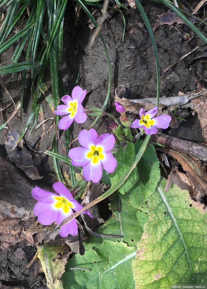 Прогулки с Вихтелями - это весело и интересно:)