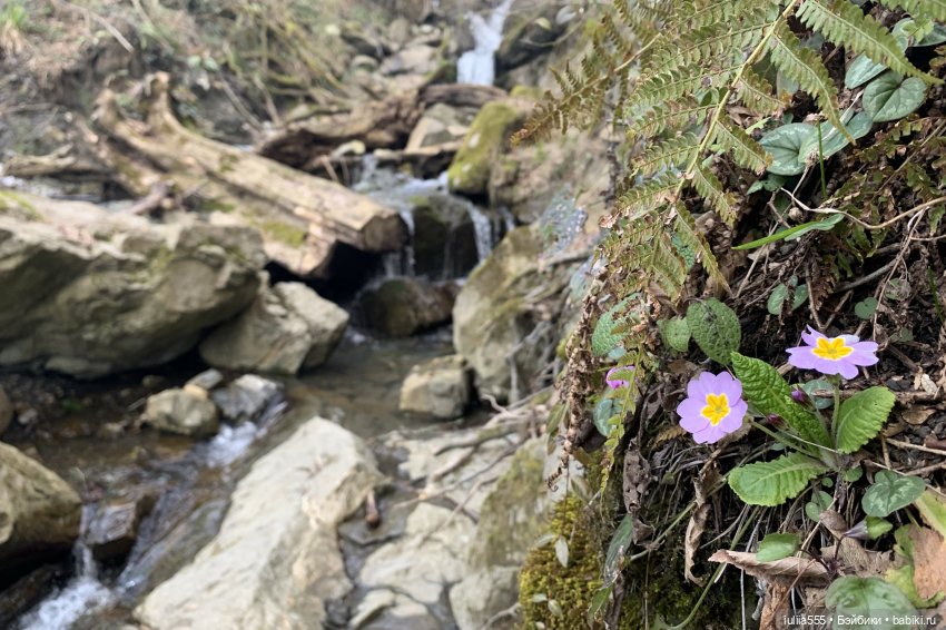 Прогулки с Вихтелями - это весело и интересно:)