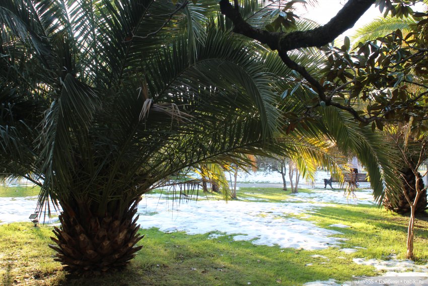 Прогулки с Вихтелями - это весело и интересно:)