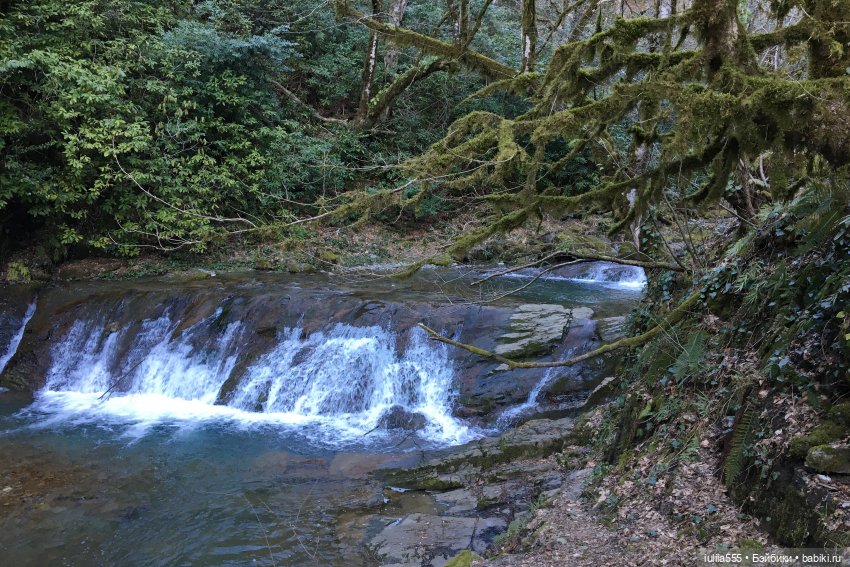 Прогулки с Вихтелями - это весело и интересно:)
