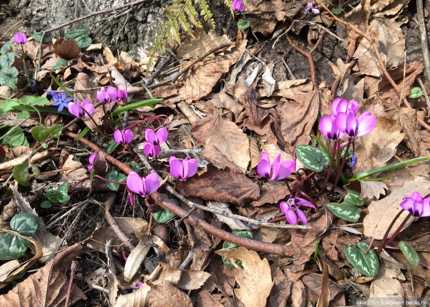 Прогулки с Вихтелями - это весело и интересно:)