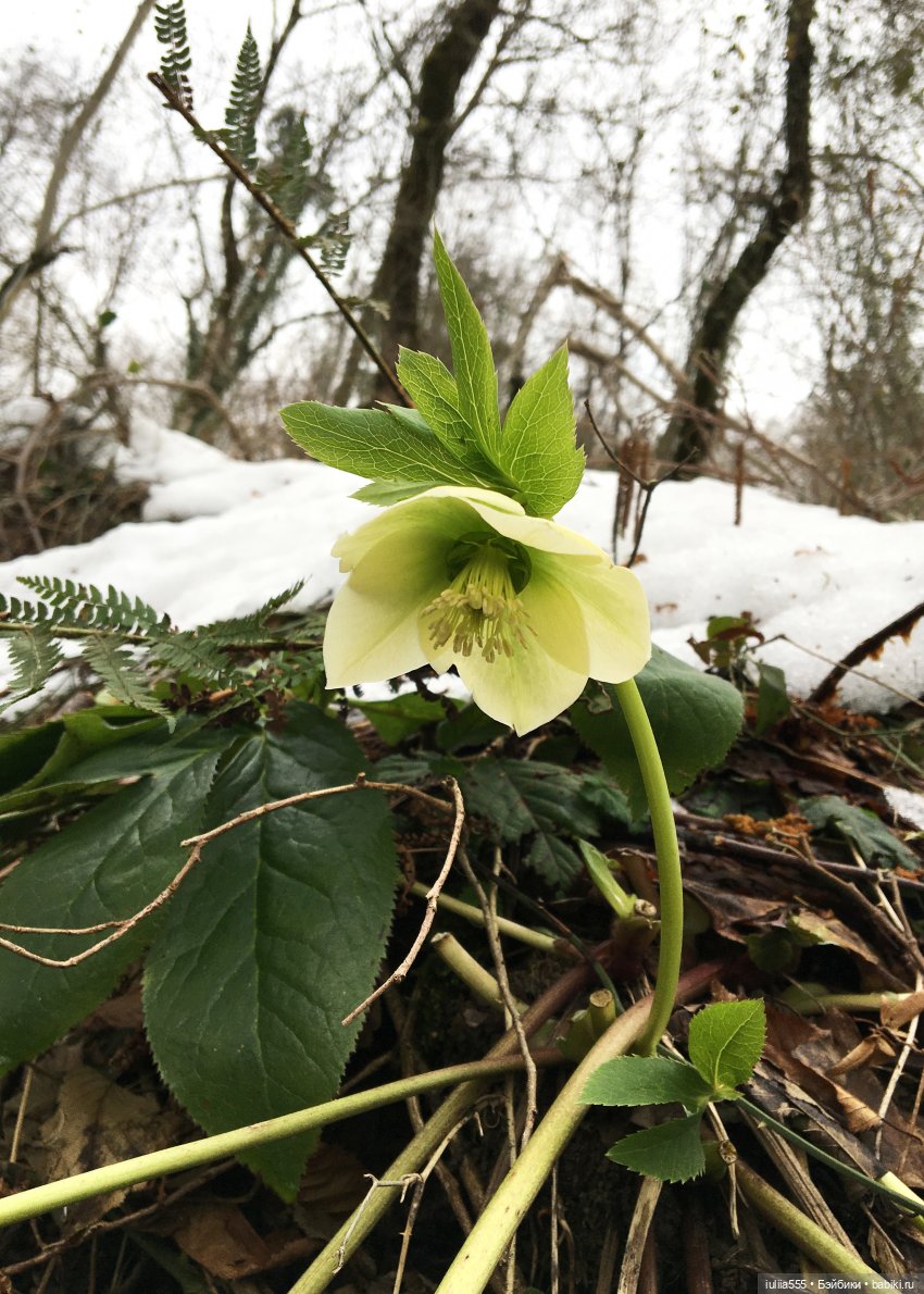 Прогулки с Вихтелями - это весело и интересно:)