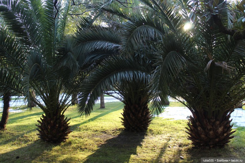 Прогулки с Вихтелями - это весело и интересно:)