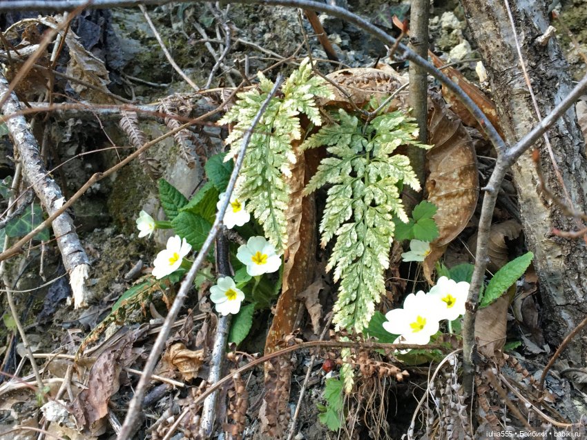 Прогулки с Вихтелями - это весело и интересно:)