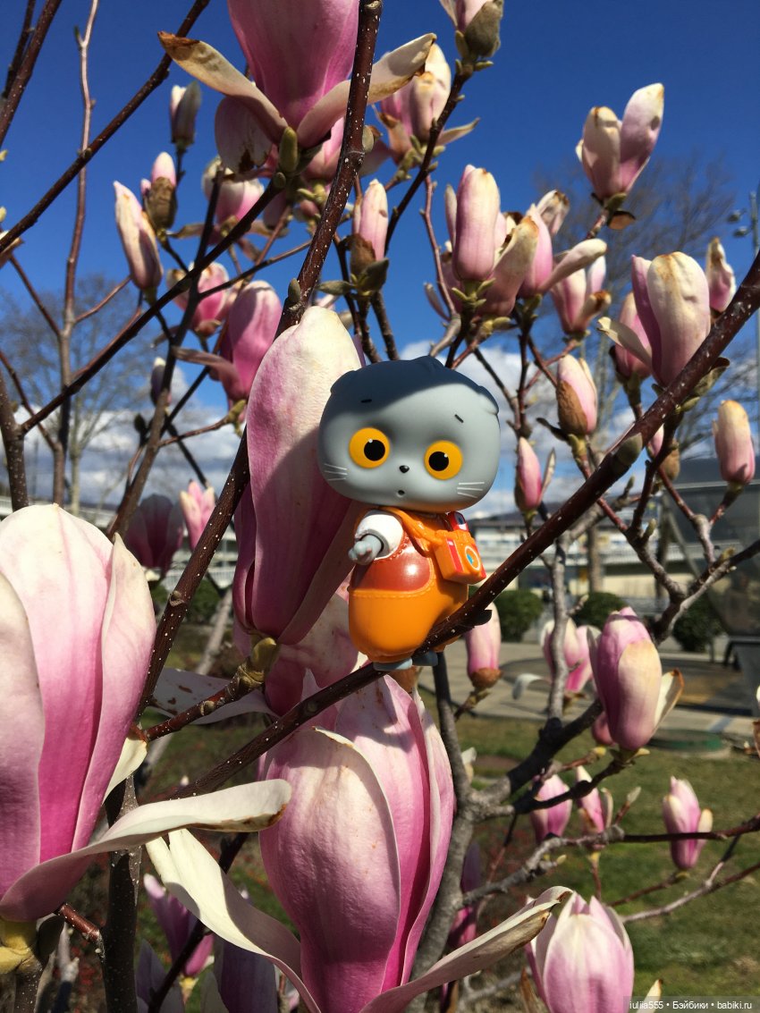 Прогулки с Вихтелями - это весело и интересно:)