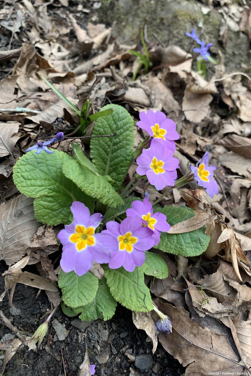 Прогулки с Вихтелями - это весело и интересно:)
