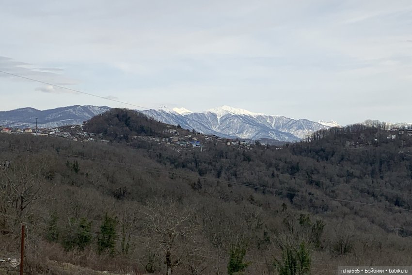 Прогулки с Вихтелями - это весело и интересно:)