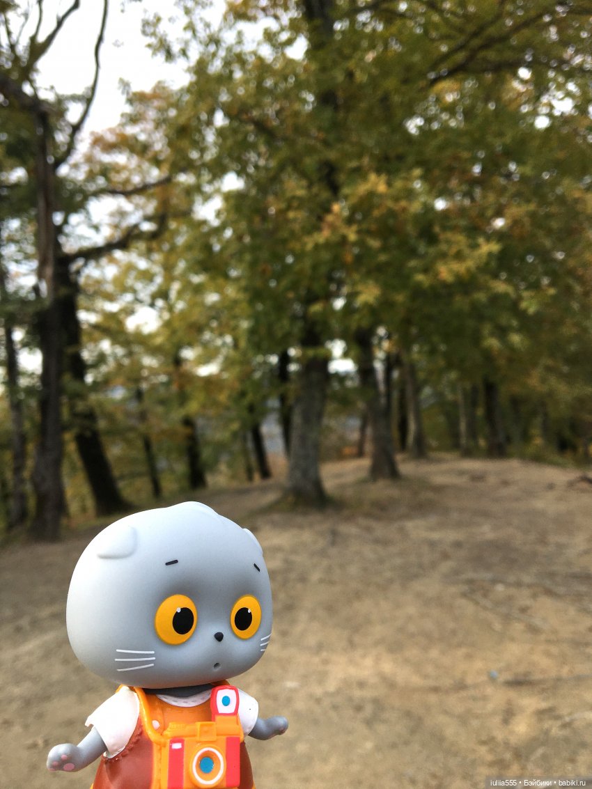 Осенний Басё — Кот Басик