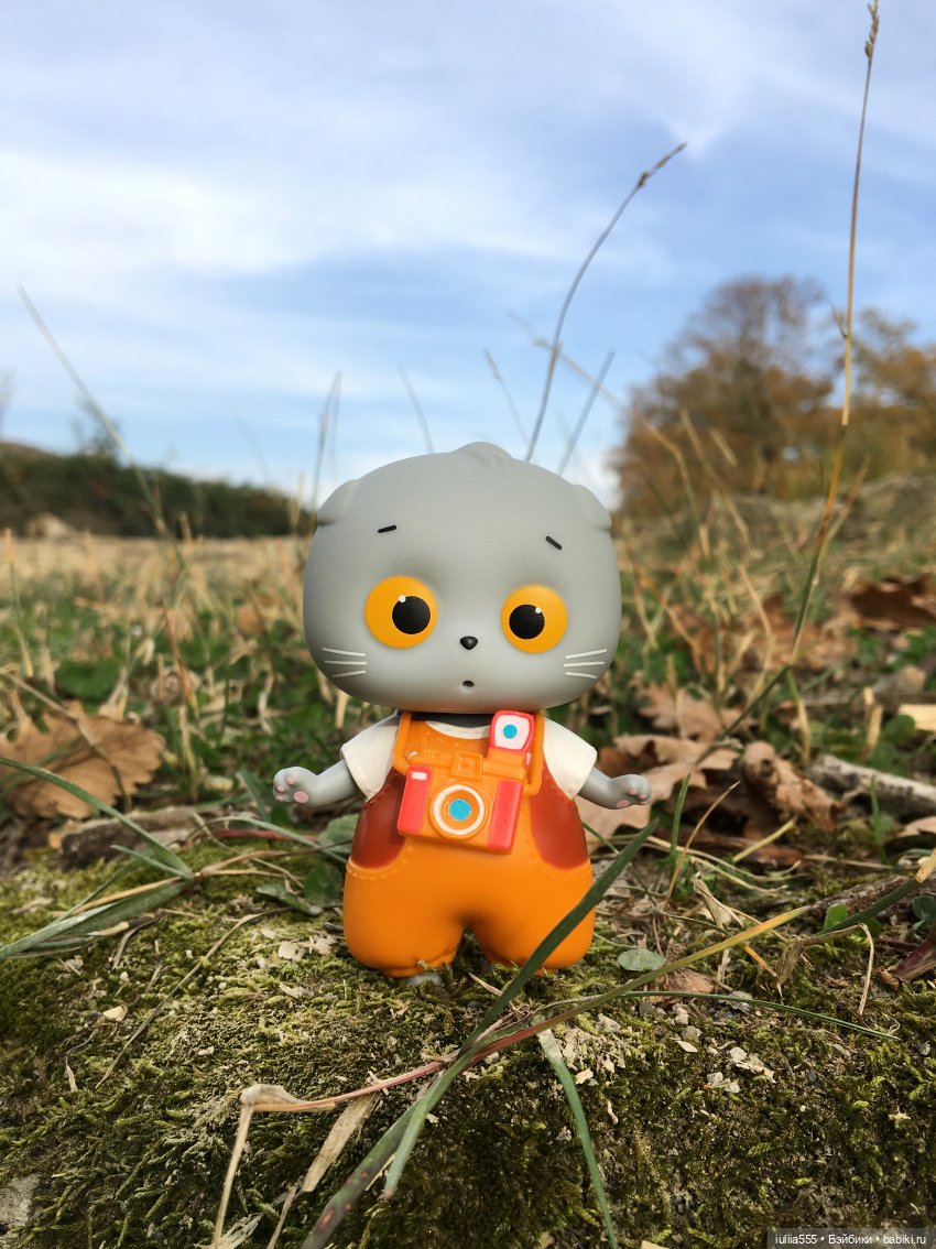 Осенний Басё — Кот Басик