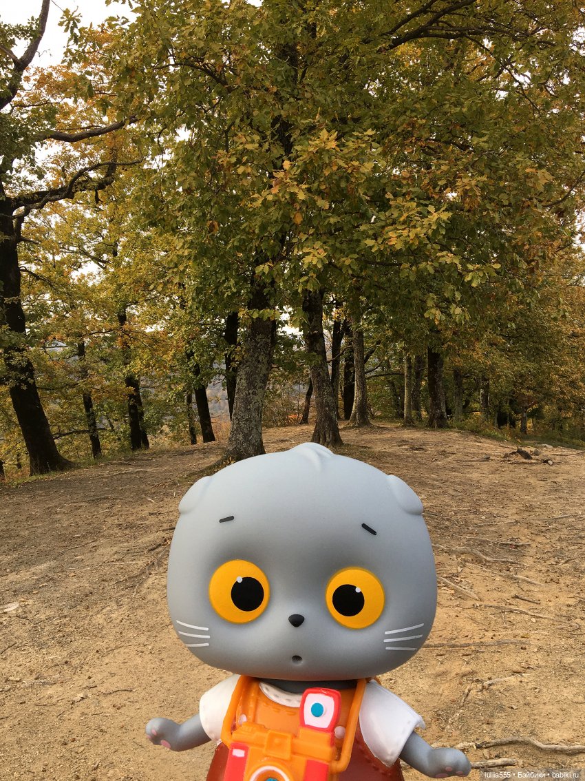 Осенний Басё — Кот Басик