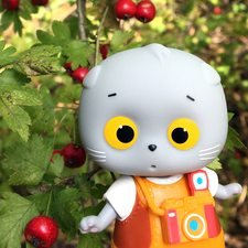 Осенний Басё