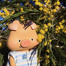 У Нафани - весна