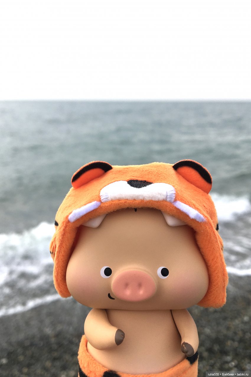 Поросята покоряют сердца. Моя прелесссть - Нафаня (фото 5)