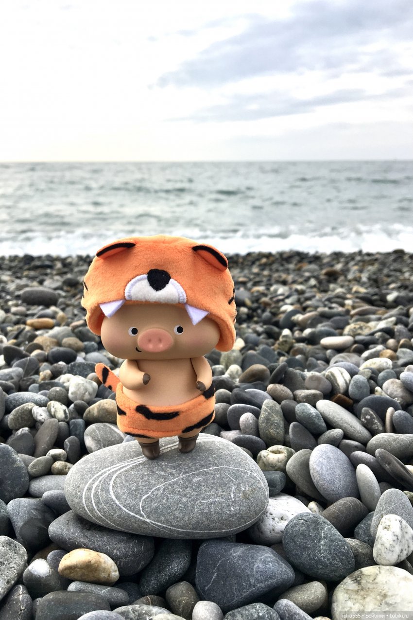 Поросята покоряют сердца. Моя прелесссть - Нафаня (фото 3)