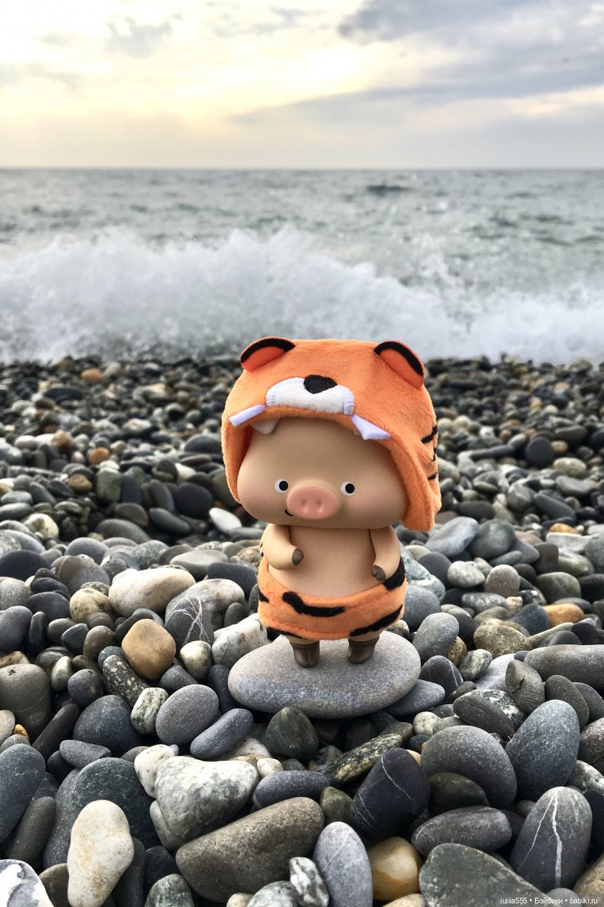 Поросята покоряют сердца. Моя прелесссть - Нафаня (фото 4)