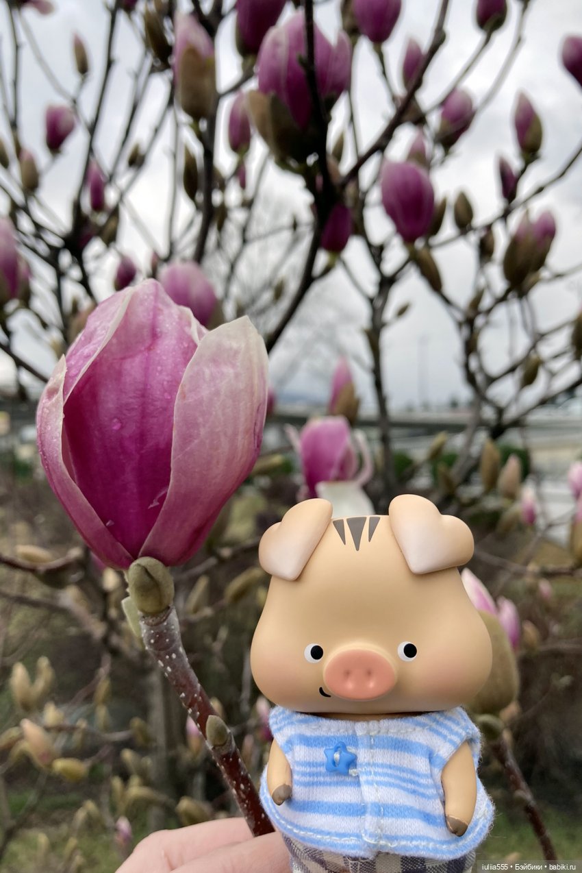 Цветущие любимчики — Куклы Simontoys и Come4Free (Blind Box): Teennar