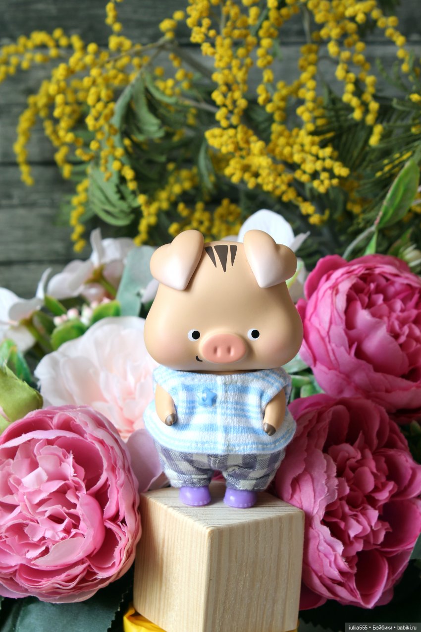 Цветущие любимчики — Куклы Simontoys и Come4Free (Blind Box): Teennar