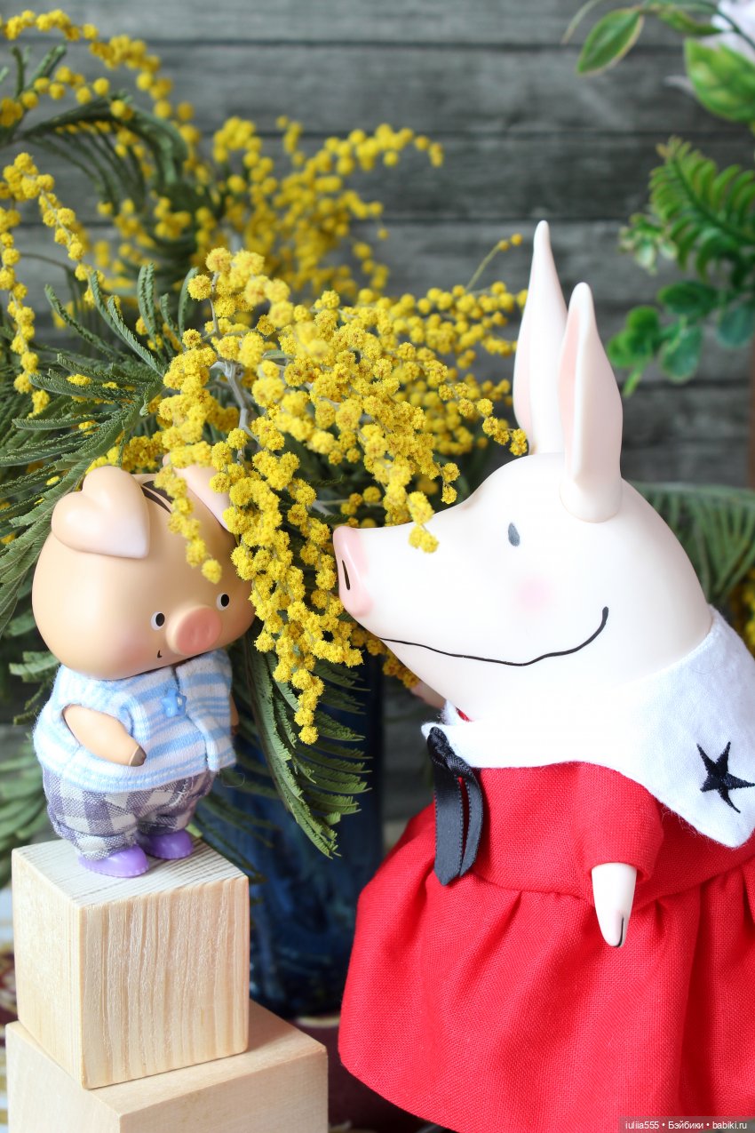 Цветущие любимчики — Куклы Simontoys и Come4Free (Blind Box): Teennar