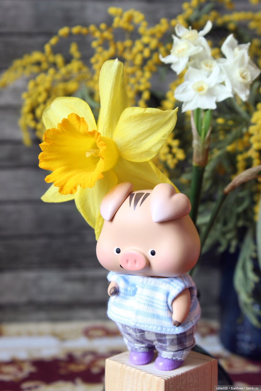 Цветущие любимчики — Куклы Simontoys и Come4Free (Blind Box): Teennar