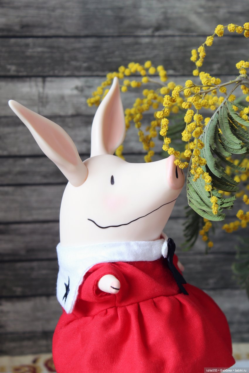 Цветущие любимчики — Куклы Simontoys и Come4Free (Blind Box): Teennar