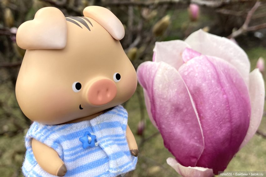 Цветущие любимчики — Куклы Simontoys и Come4Free (Blind Box): Teennar