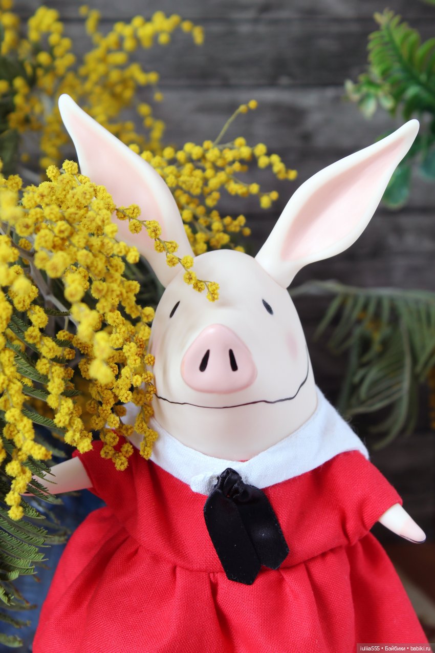 Цветущие любимчики — Куклы Simontoys и Come4Free (Blind Box): Teennar