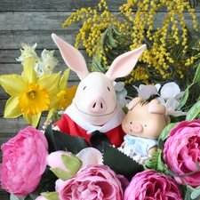 Цветущие любимчики