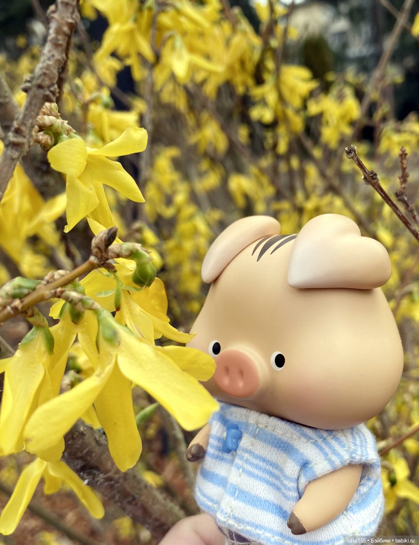 Свинские будни — Куклы Simontoys и Come4Free (Blind Box): Teennar