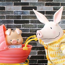 Свинские будни