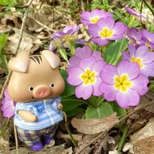 Весенний и цветущий лес полон сказок и чудес