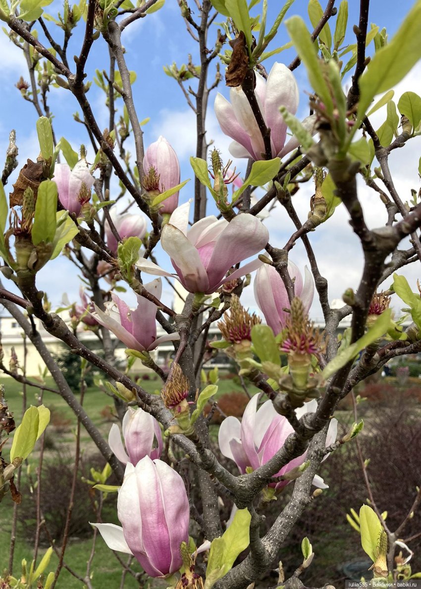 С весною вас — Игровые куклы разных производителей (Разное): редкие бренды