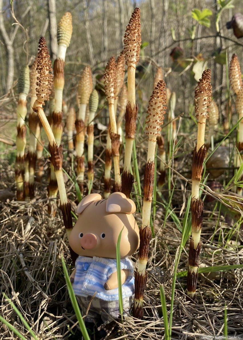 С весною вас — Игровые куклы разных производителей (Разное): редкие бренды