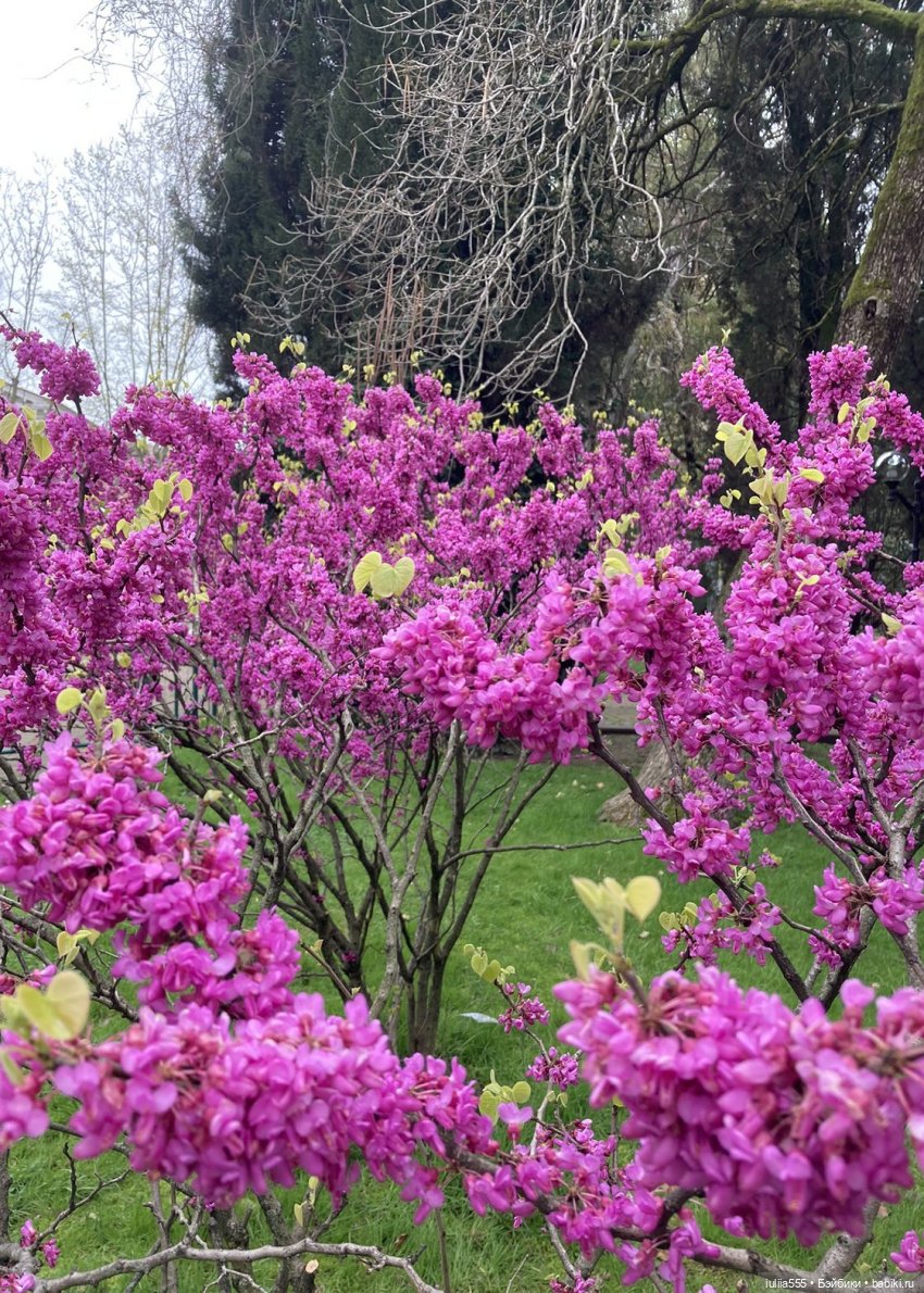 С весною вас — Игровые куклы разных производителей (Разное): редкие бренды