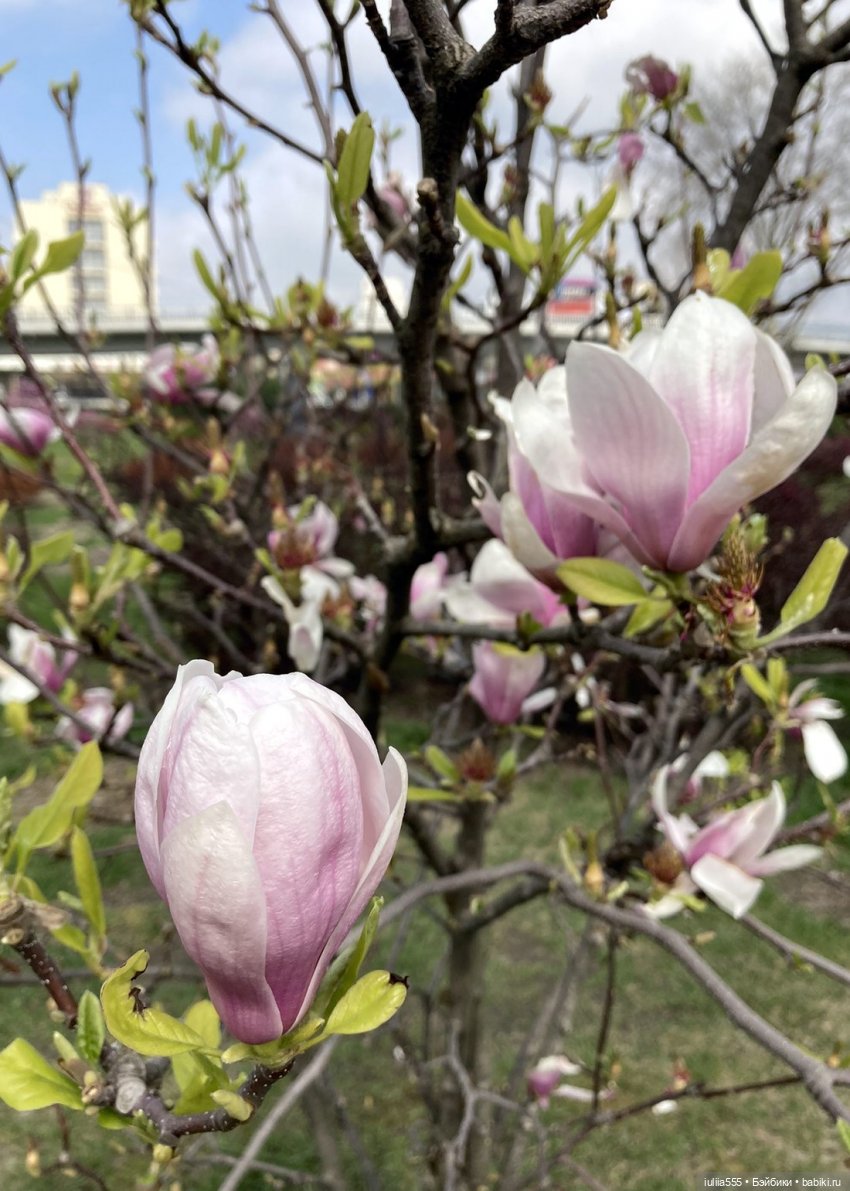 С весною вас — Игровые куклы разных производителей (Разное): редкие бренды