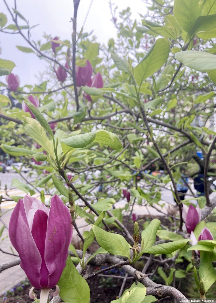 С весною вас — Игровые куклы разных производителей (Разное): редкие бренды