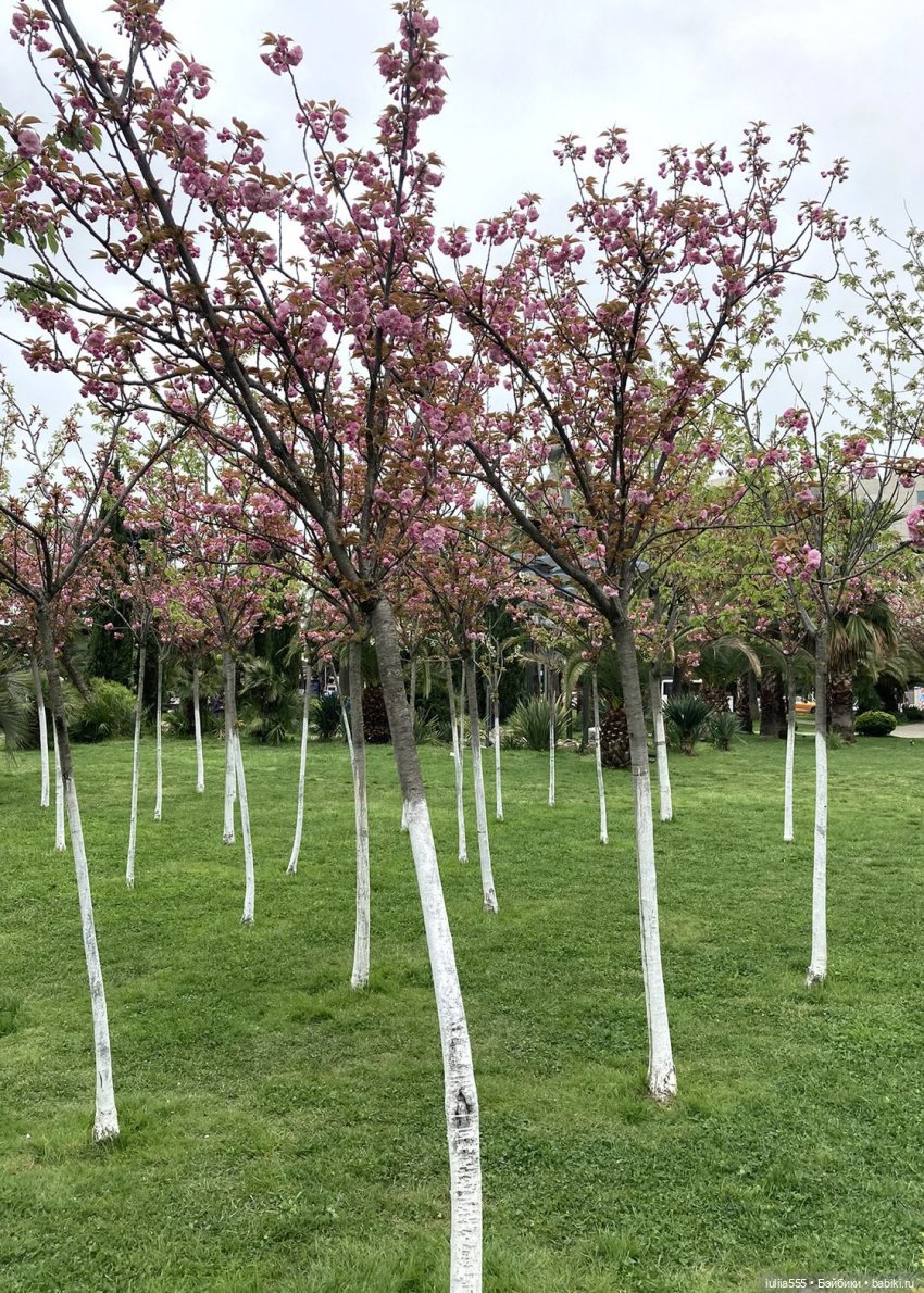 С весною вас — Игровые куклы разных производителей (Разное): редкие бренды