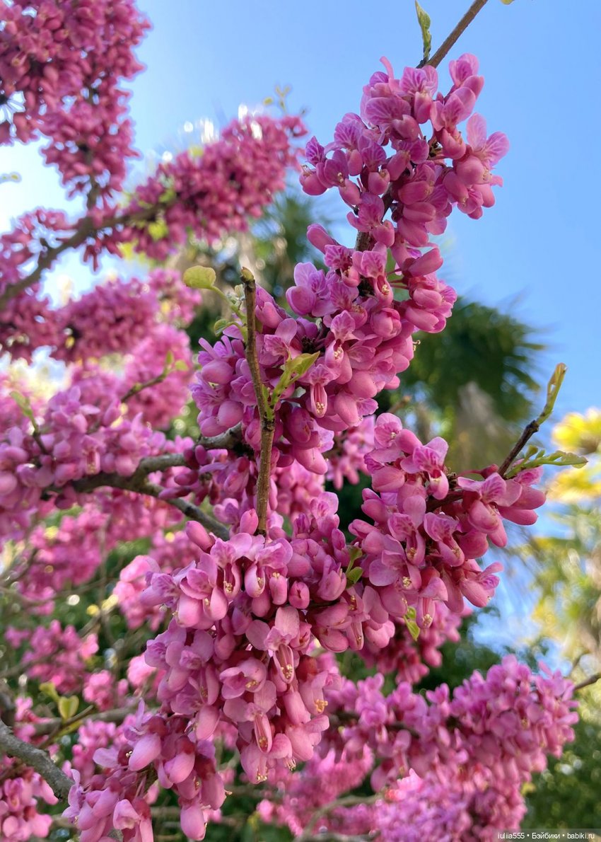 С весною вас — Игровые куклы разных производителей (Разное): редкие бренды