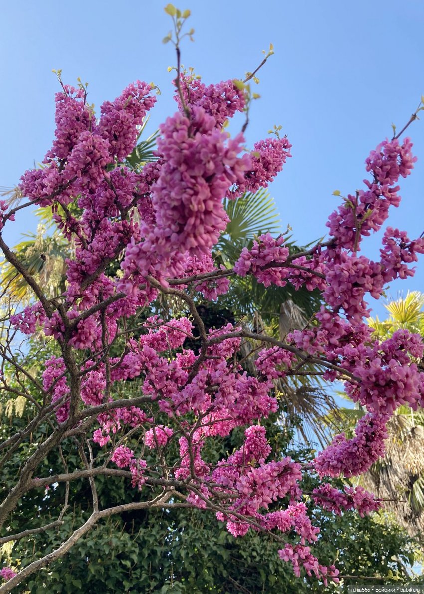 С весною вас — Игровые куклы разных производителей (Разное): редкие бренды